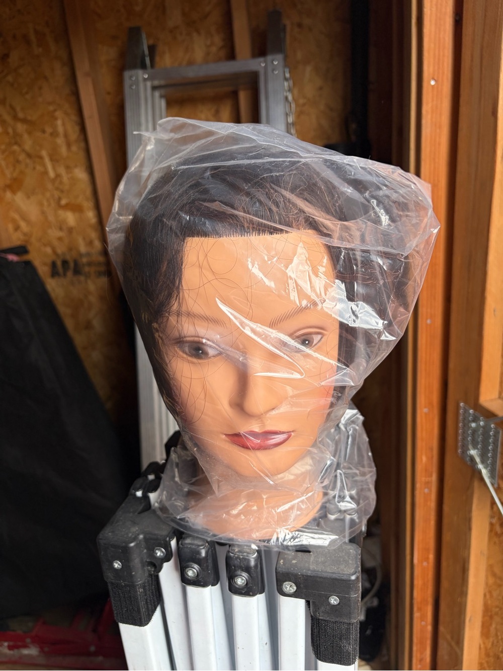 Professional Women’s Hair Styling Mannequin Head – Black Hair